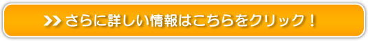 ቷ}CiXCIg[ggwAhC[bMɂ_[W甯̔TCg